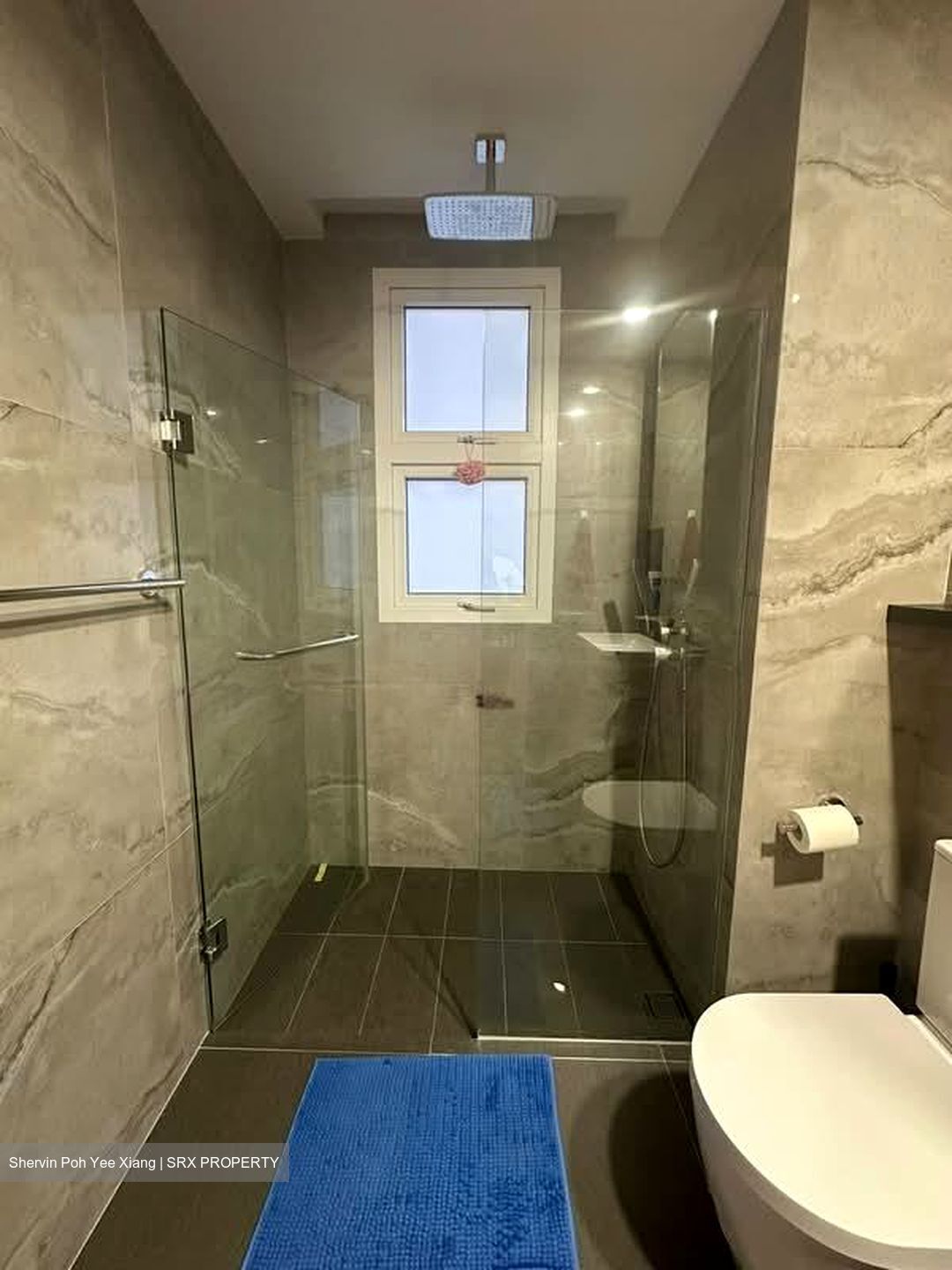 Jervois Treasures (D10), Apartment #588855741